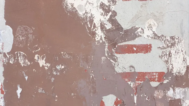 Fading Fast: The Race to Save America's Oldest Graffiti Before the Wrecking Ball Wins