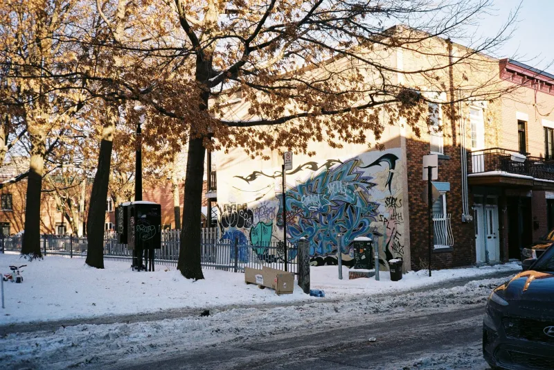 Pushed Out, Spread Out: What Happens to Graffiti Writers When the Neighborhood Flips